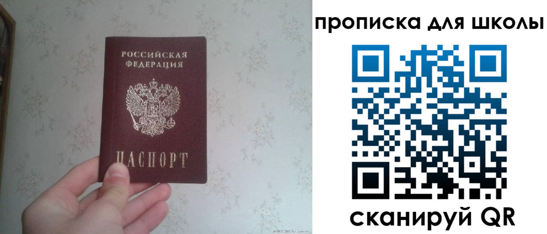 прописка в квартире в Московской области